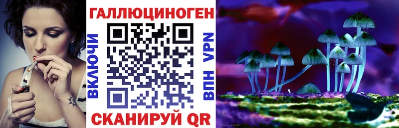 Псилоцибиновые грибы мухоморы  купить   Дагестанские Огни 